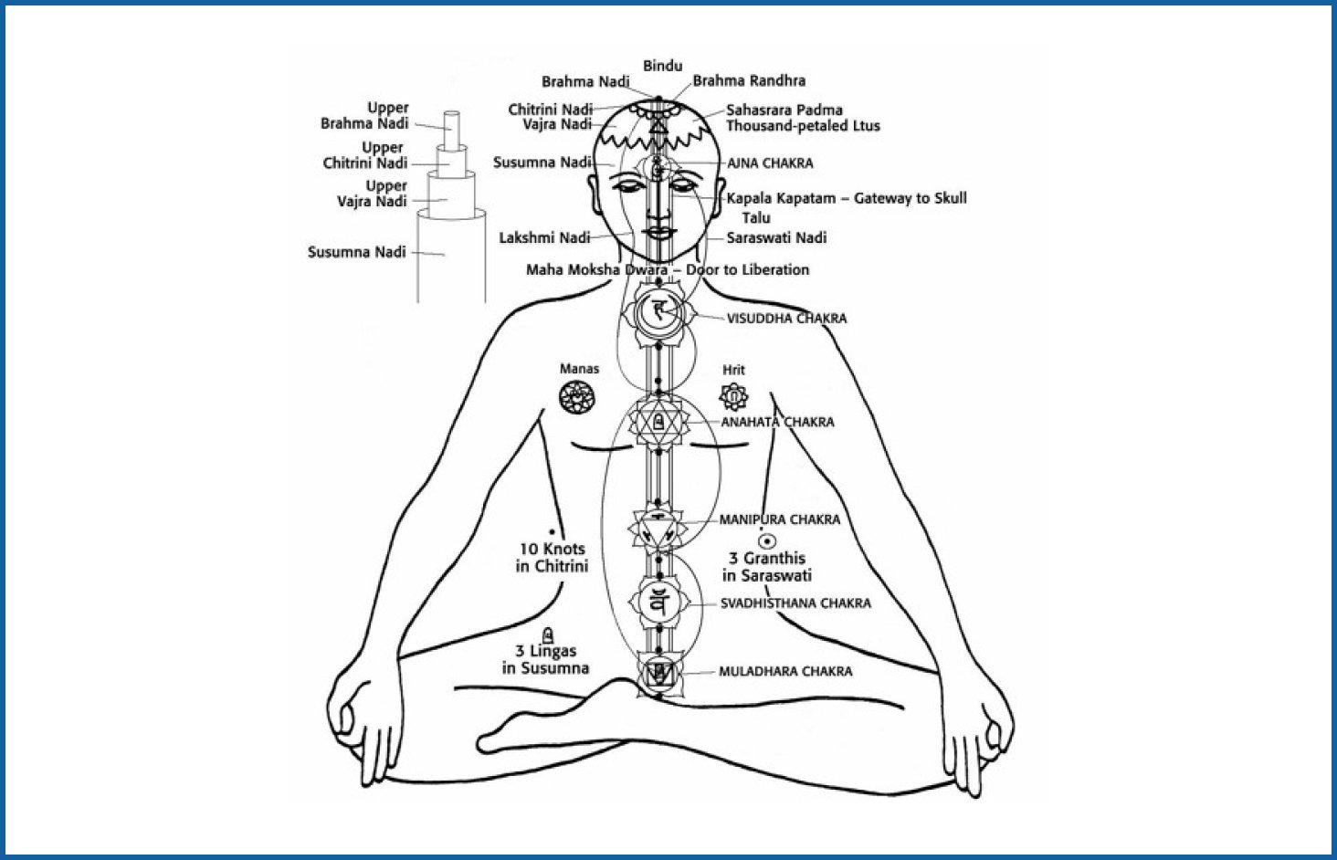 homeopathy